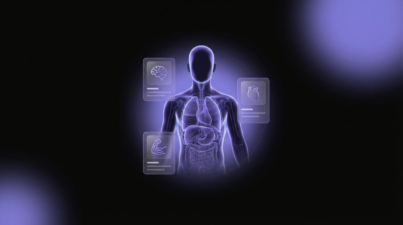 Anatomy learning with an app – minimalist 3D body and study UI